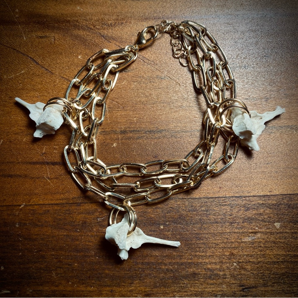 Possum Vertebrae Bone Gold Layered Chain Bracelet